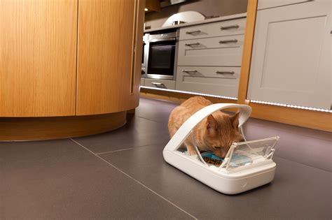 sureflap rfid pet feeder